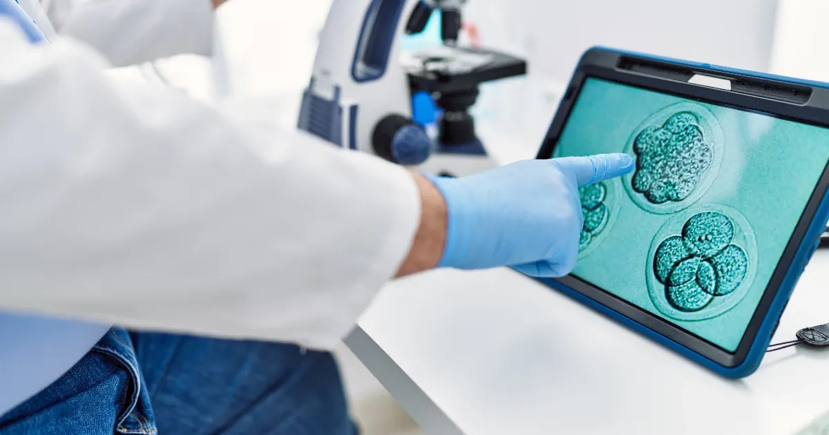 Embriologija u VTO: šta se dešava u laboratoriji?