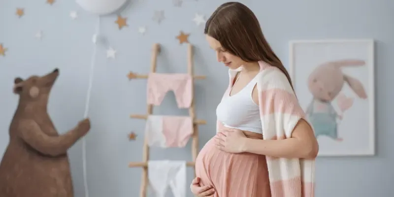 Kalendar trudnoće, slika 24. nedelja.webp