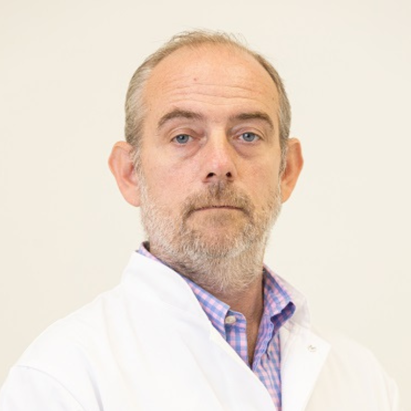 Vojislav Giga