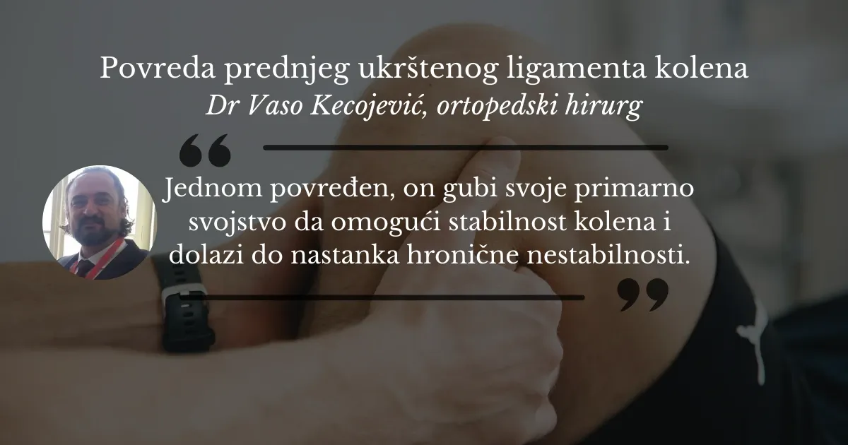 OG, Prednji ligamenti (1200 x 630 px).webp