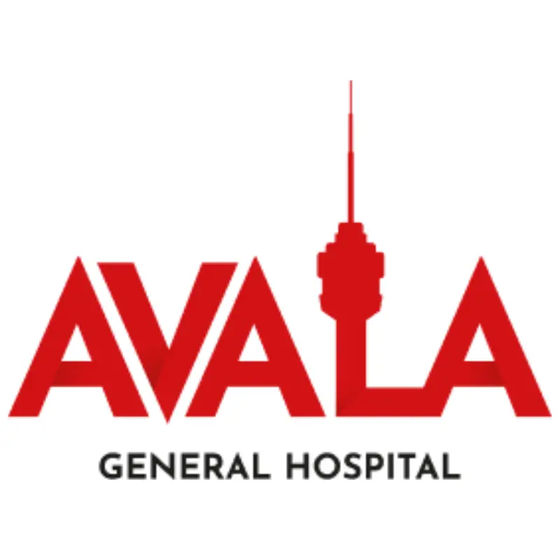 Opšta bolnica Avala — slika