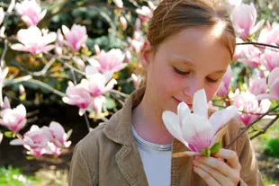 Magnolija ubija zadah