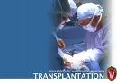 Transplantacija koštane srži