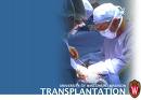 Transplantacija koštane srži