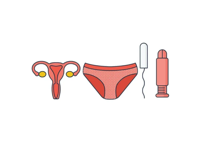 Normalni menstrualni ciklus