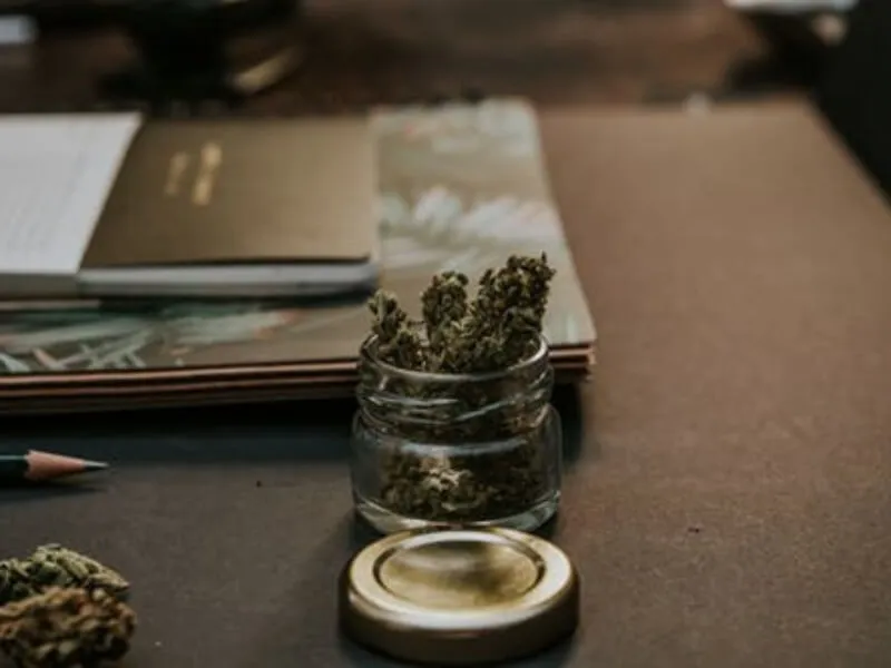 Droga - put u mozak