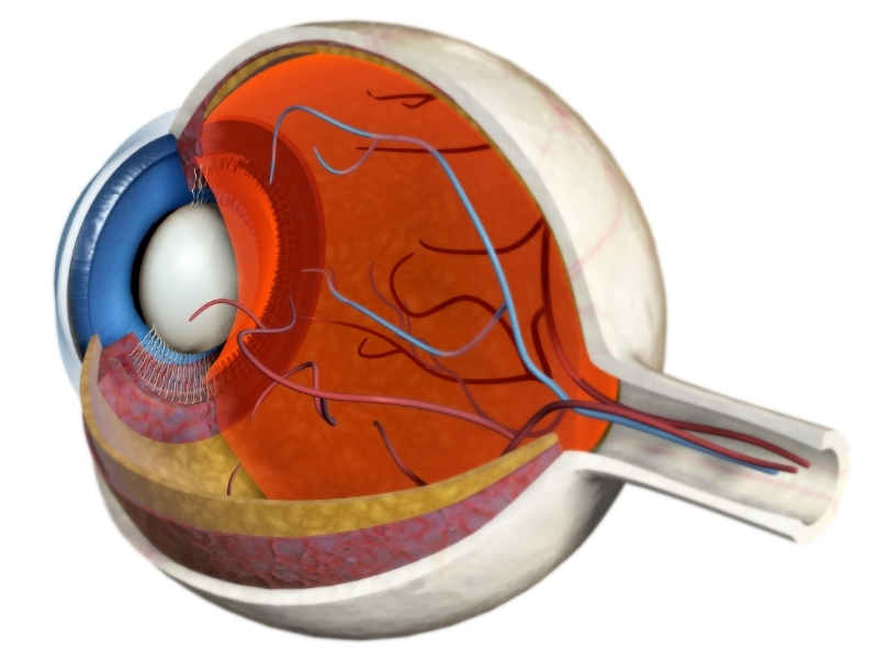 Retinitis pigmentosa