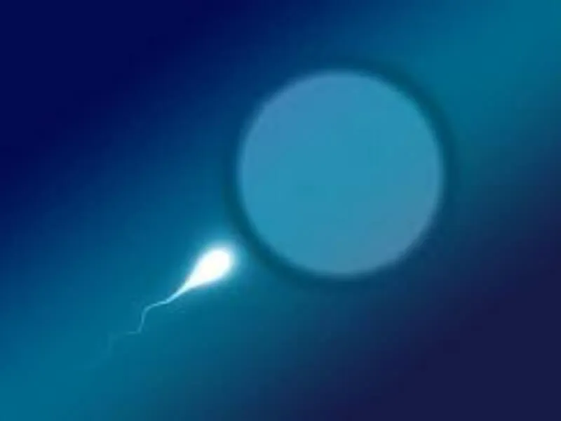 Zdrava hrana za zdrave spermatozoide
