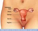 Urodjene anomalije vagine