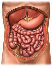 Abdominalne kolike