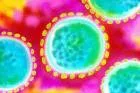 Hantaan virus