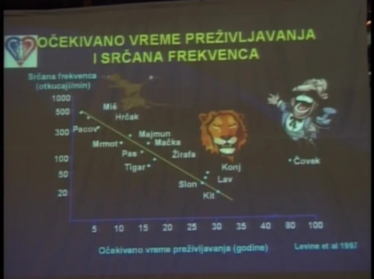 Antiishemijska terapija akutnog koronarnog sindroma