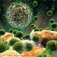 Otkrivena "Ahilova peta" HIV-a