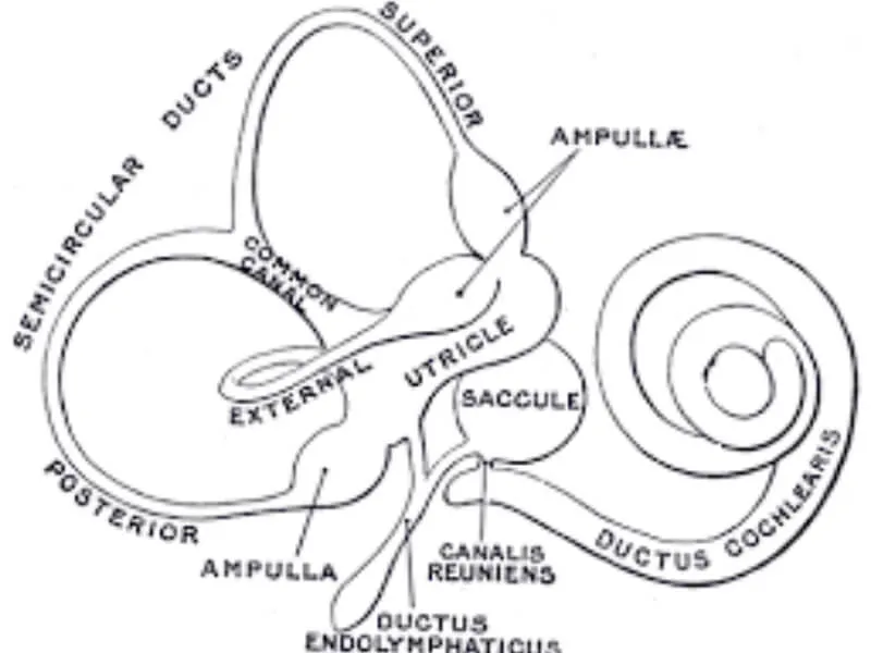 Labirintitis