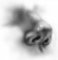 Ekcem nosa