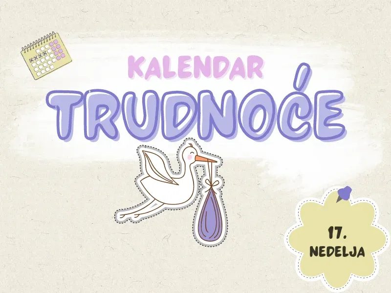 17. nedelja trudnoće