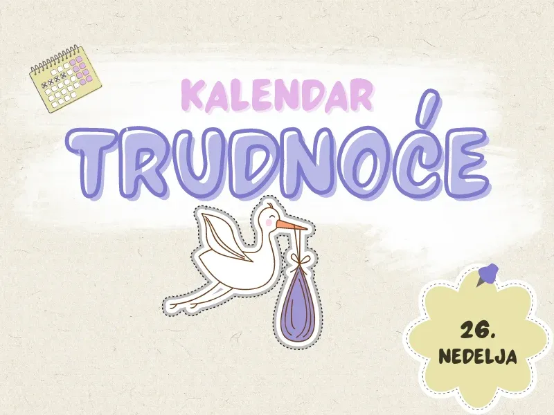 26. nedelja trudnoće