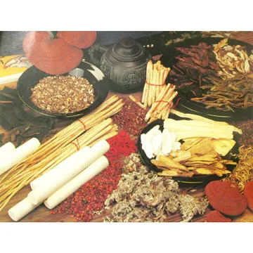 Tradicionalna kineska medicina u farmaciji