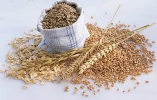 Makrobiotičke namirnice