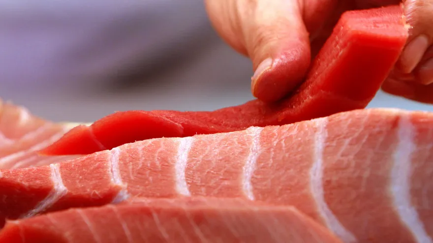Američka tuna nije zapravo tuna?