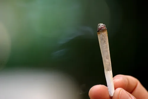 Kanabis sadrži više štetnih otrova nego duvan